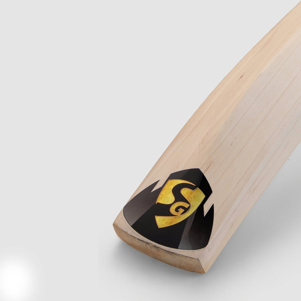 SG HP ICON English Willow Cricket Bat