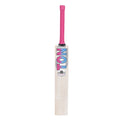 SS Cricket Bat Ton Slasher